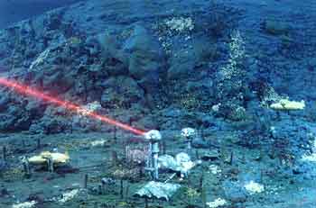 Deep Sea Six
