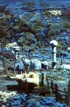 Deep Sea Six
