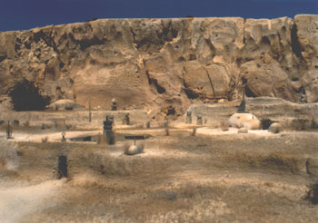 Desert House