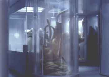 Cryo-Zoo