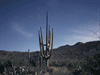 Header Image 1