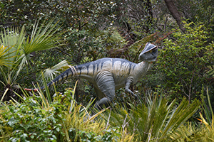 Velociraptor.